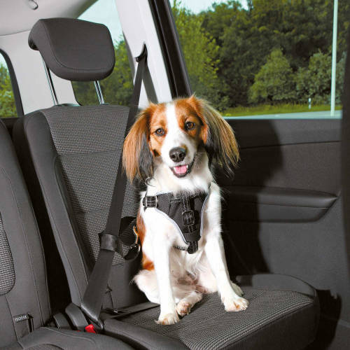 Trixie Car Harness Comfort - biztonsági hám autóba -fekete TÖBB MÉRETBEN