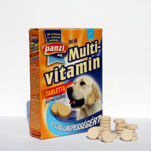 Panzi Vitamin - Multivitamin (100db)