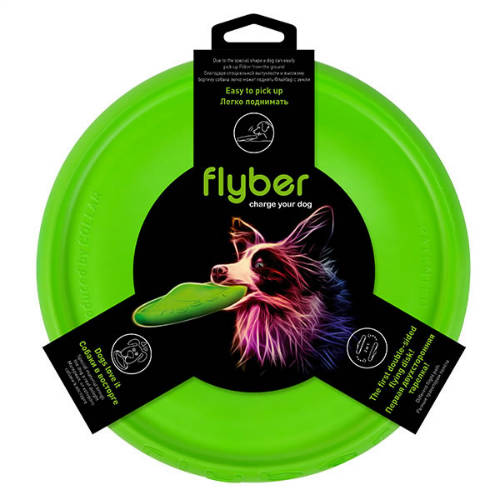 Frizbi FLYBER, 22cm, lime