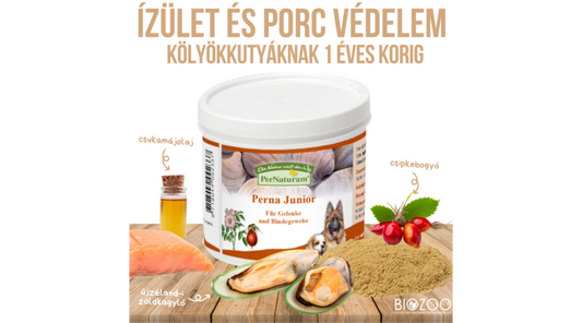 Porc- és ízületvédő komplex 100 g, PerNaturam TÖBB KOROSZTÁLY